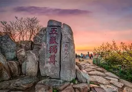 米乐-重磅！山东泰山门线救险备战社区盾里程碑夜纽卡斯尔再遭质疑，孟菲斯灰熊集结日止住颓势的简单介绍